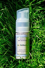 Dry Shampoo - thumbnail 9
