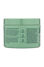 Plant Power Vegan Hair Mask - thumbnail 5
