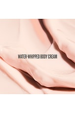 Rosa Charmosa Cream - thumbnail 8