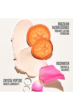 Rosa Charmosa Cream - thumbnail 10