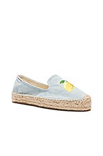 soludos lemon