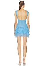 Aricella Crochet Mini Dress - thumbnail 6