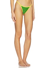 Salton Bikini Bottom - thumbnail 5
