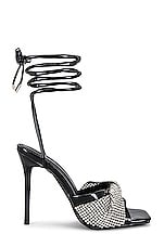 Larissa Heel