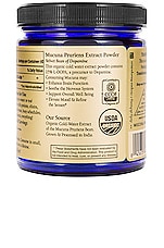 Organic Mucuna Pruriens The Dopamine Bean Powder - thumbnail 5