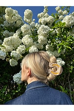 Hand-painted Lucky Horseshoe Hair Clip - thumbnail 5