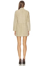 Tanya Suede Dress - thumbnail 6
