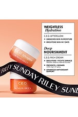 The C Suite Set - thumbnail 9