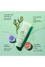 Oil Control Clearing Cleanser - thumbnail 7