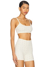 The Cher Bra - thumbnail 5