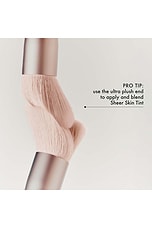 The Blush Brush - thumbnail 6