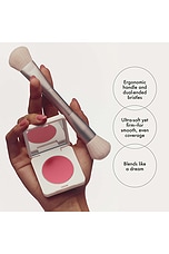 The Blush Brush - thumbnail 7