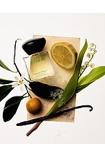 Frisson D'hiver Eau De Parfum - thumbnail 6