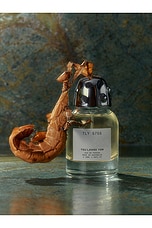 TLY 5755 Eau De Parfum 50ml - thumbnail 7
