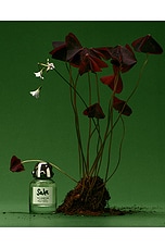 Sala Eau De Parfum 50ml - thumbnail 7