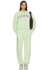 Manifest Classic Sweatpants - thumbnail 8