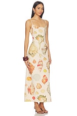 Collector Dress - thumbnail 5