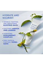 Cool Cream Smoothing Mask - thumbnail 8
