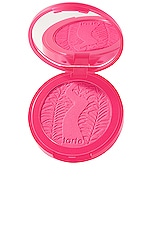 Amazonian Clay 12-Hour Blush