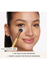 Concealer Paw Brush - thumbnail 7