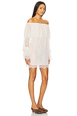 Winona Mini Dress - thumbnail 5