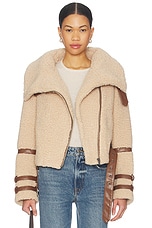 Bailey Moto Jacket - thumbnail 4