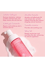 Wonder Ceramide Foam Cleanser - thumbnail 9