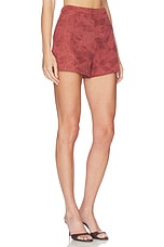 Kailana Raffia Shorts - thumbnail 5