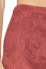 Kailana Raffia Shorts - thumbnail 9