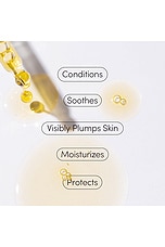 Face Oil - thumbnail 6