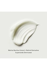 The Sculpt Arm Compound - thumbnail 5