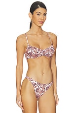 Jaya Bikini Top - thumbnail 5