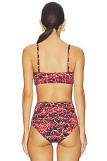 Zahara Bikini Top - thumbnail 6