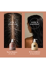 Warrior Shampoo - thumbnail 7