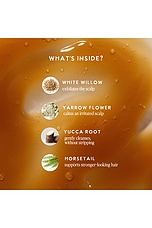 Warrior Shampoo - thumbnail 8