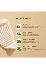 Luna Clear Conditioner - thumbnail 8