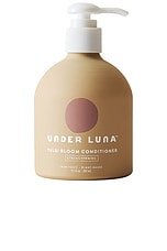 Tulsi Bloom Conditioner - thumbnail 4