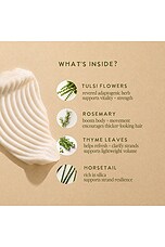Tulsi Bloom Conditioner - thumbnail 8