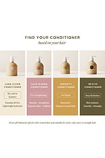 Tulsi Bloom Conditioner - thumbnail 9