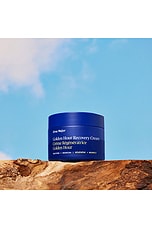 Golden Hour Recovery Cream - thumbnail 9