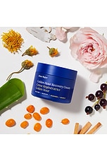 Golden Hour Recovery Cream - thumbnail 10
