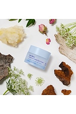 Forest Alchemy Eye Cream - thumbnail 9