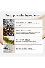 Mountain Glow Serum - thumbnail 10