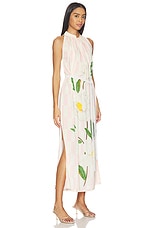 Sundowner Maxi Dress - thumbnail 6