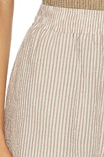 Darina Short - thumbnail 9