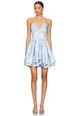 Savannah Mini Dress - thumbnail 4