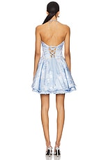 Savannah Mini Dress - thumbnail 6