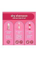 Travel Dry Shampoo Light - thumbnail 6