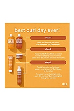 Curl Conditioner 12oz - thumbnail 7
