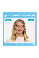 Glossy Shampoo 12oz - thumbnail 10